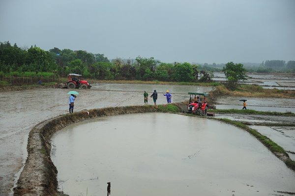 °²»Õ·ÊÎ÷ÏØÔֺ󲹸ÄÖÖÏÖ³¡ôßÌï¼ä¹ÜÀí¹¤×÷»áÕÙ¿ª