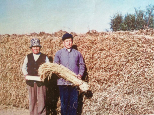 毕力格老人说:没有老伴的支持,我种不出沙漠水稻。图为毕力格老人与老伴。