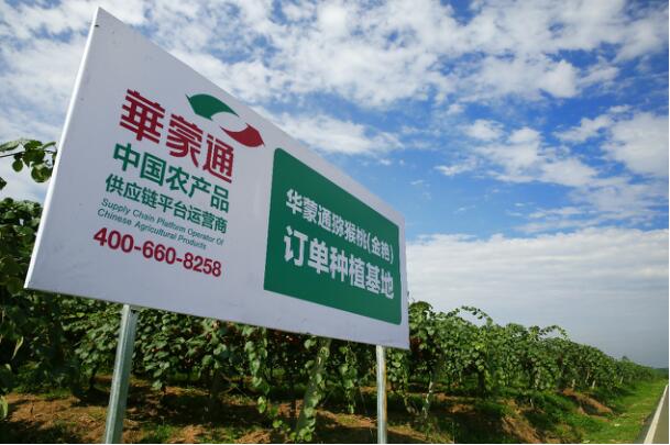 Яͨչũҵ ⨺ֵܡƮȫ 