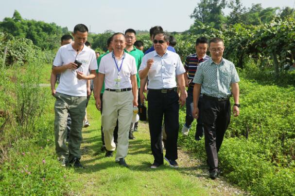 Яͨչũҵ ⨺ֵܡƮȫ 