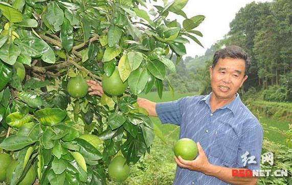 ʡȸ󸻵͡μ嵳֧ȫԼӵ