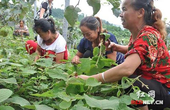 ġŮӼ޽Ӷӡ⨺ҵظľм޽ӡ