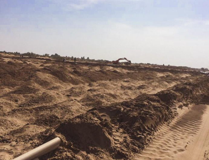 华夏耕德:推出大漠鲜米立足本地资源带动农民致富