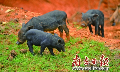 ɱ÷ҰӽɣʹϡӦǿ׹ص㡣