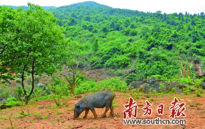 һͷӵһĶصĻռ䡣