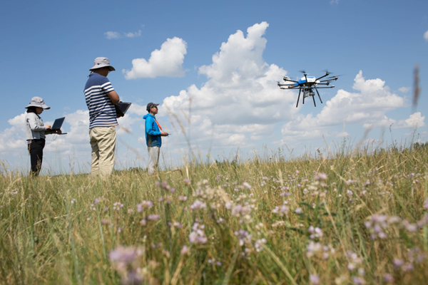 729գںױũѼлũȻݵػָʾйѧԺĿԱ˻ݳָ