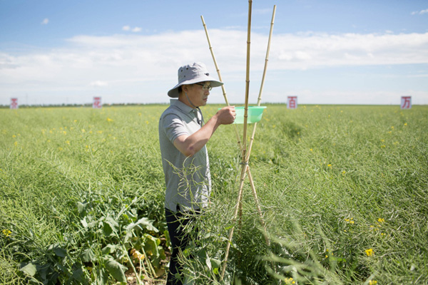 726գںױũѼлũ̬ҵһͲֲпԺоԱڲ鿴ռջ󺦳ӣַͨʽжϺǷڸ߷ڣӶͶų۷ѵʱ䡣