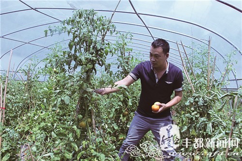 仁沙镇罗建国:弃高薪返乡创业 带领村民齐致富