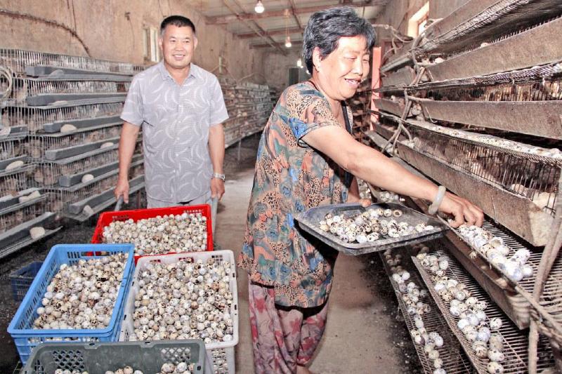 89գ첼ش»»ֳµĸĸڼȵ