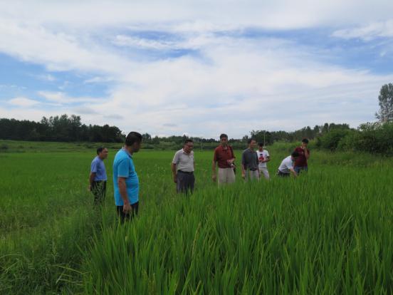 շؿչмˮɫģʽĿڼ