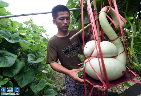 814գӱʡشӴ޺纽«