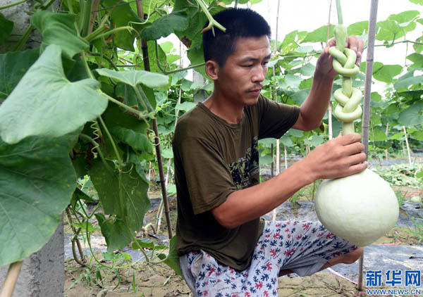 814գӱʡشӴ޺纽«