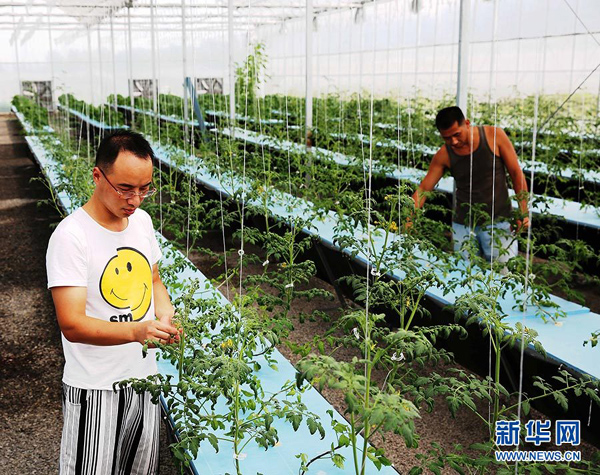 87գΰ󣩺ͬڡࡱ̬԰ڲ鿴