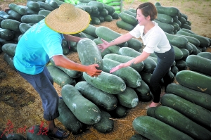 张雯雯看到丰收的瓜果,抑制不住兴奋的心情。