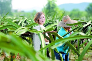 90后美女“农二代”的生态农业之梦:让农业“潮”起来