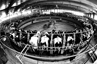 ̼۵ĳ»һΣѾӵ˴ģ