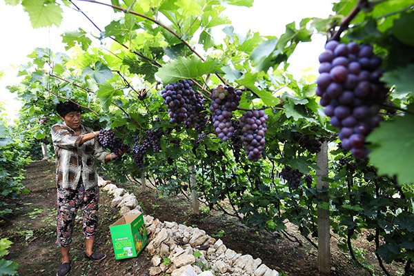 823գũںӱɳʯѲժ԰ѡ