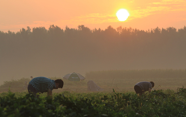 823գɽʡ޳пׯĿ壬ũԡųջ