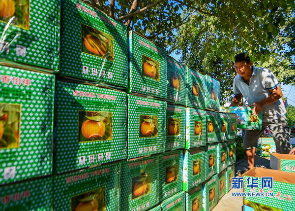 828գϽػĶϽ桱ֲڣũժġϽ桱װ