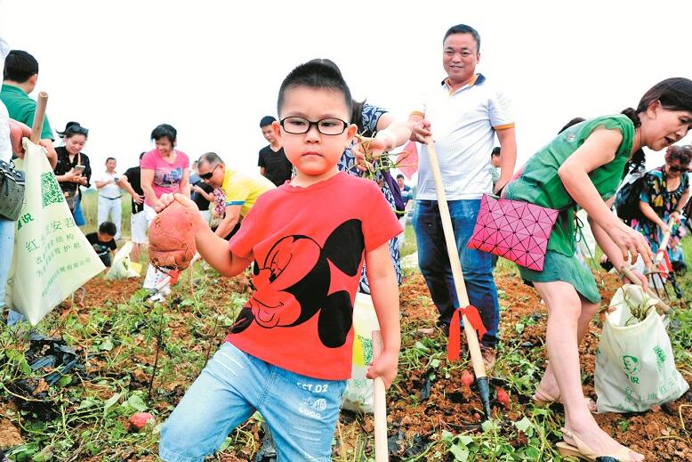 ͼΪգܵ˳ĺ人Ľλμں