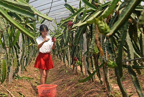 οڽʡҶƺĻũҵ̬԰ڲժ