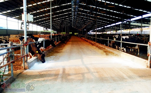 ׯҹ壬һŸֽṹġţᡱ