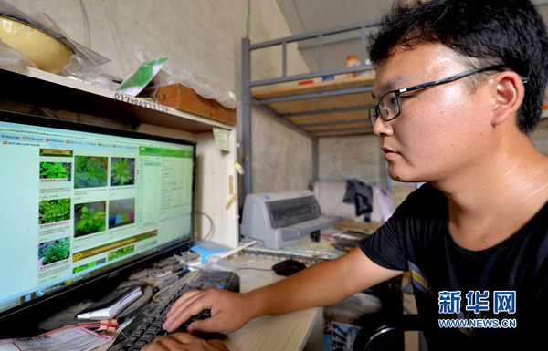 大学生徐长利返乡创业培育微盆景