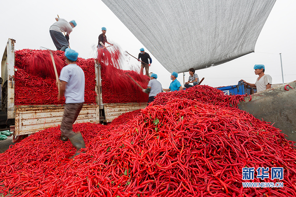 ÿ糿򵤵רҵĳӹԺﶼԾ򼽡򵤵šֲʽ916գж