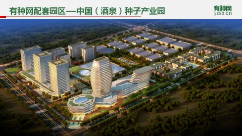 һ ¼С+ִũҵչģʽ