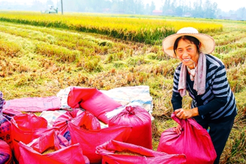 괨Ӫũոˮʱڣ94Ķˮ½ոڡ