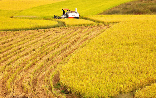 108գʡ˴ضｭũʻũո