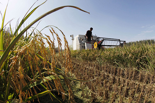 108գڽʡƸиɽׯ壬ũּʻոոˮ