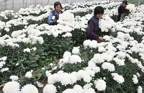 108գɽʡԴʯׯũڲվջ»緢Զɽ 㣩