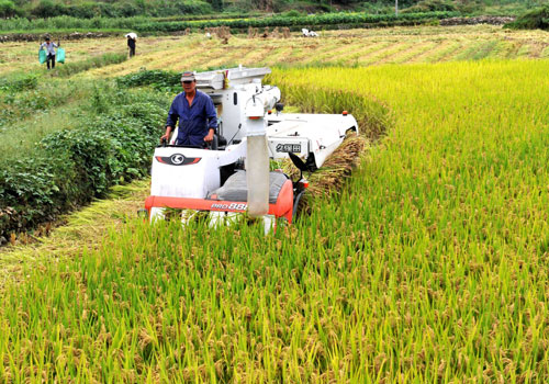 104գ㽭ʡ̨ɾ˫ũո