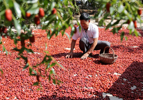 104գɽʡׯƽбݴũɹ档