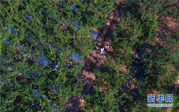 ǷȻѾҹȴժƻ԰930㣩