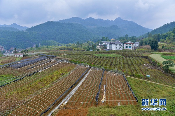 ֲܹ꣬30ĶݮһԪڼɹժ