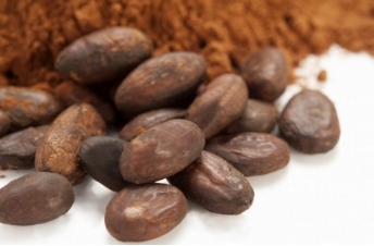 逗咖先生:将世界带回来给你