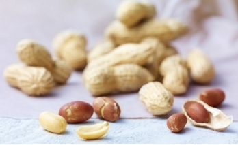 逗咖先生:将世界带回来给你