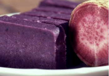 逗咖先生:将世界带回来给你