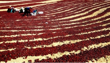 逗咖先生:将世界带回来给你