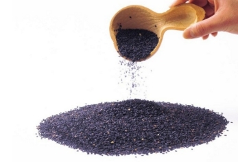 逗咖先生:将世界带回来给你