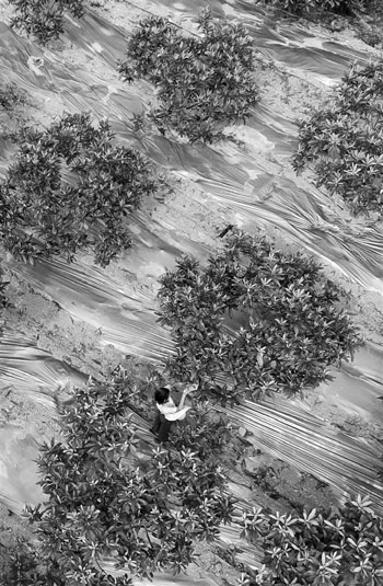 ʤе̬ũ300Ķÿ춼ܿڵӰ