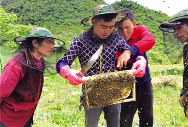 ɽ򺣸´巢չҵߺ¸·