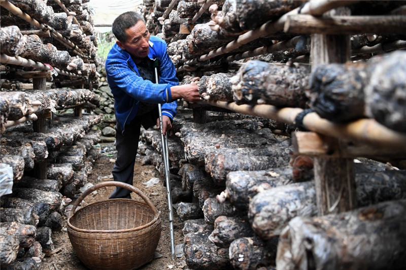 鴺㹽ڲժ㹽1025㣩