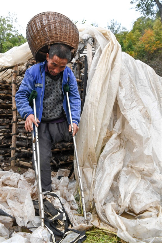 鴺ժõ㹽˳㹽1025㣩