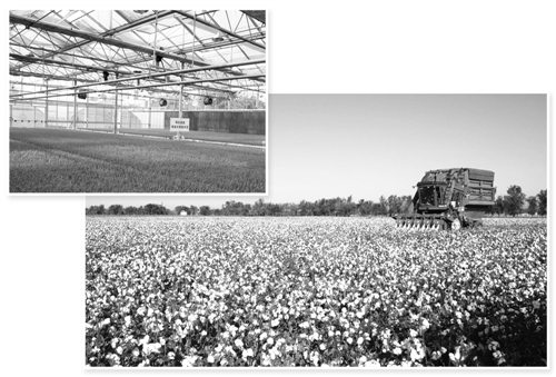 25ũҵĸ뽨Ե̽ϵ»ơ´ʩʾۏ·