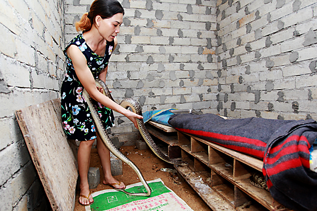 ƶרҵһԽӣ˽ߵϰԡ