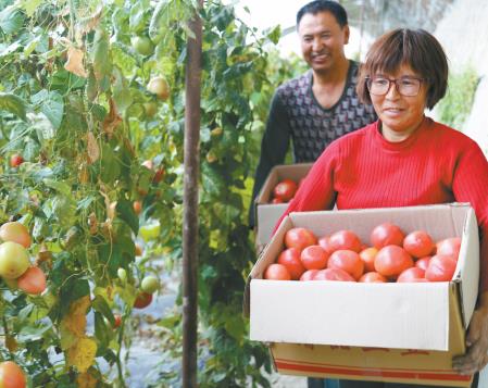 ͼΪ˸󣩺Ͱڴժл1019գ