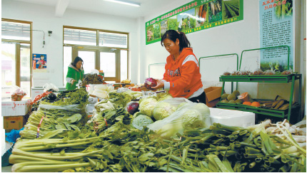 ŵʦ߲˽㡱ˮƼ¸֮·